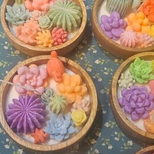 Colorful Hand Poured Succulent Candle  in Wooden Dough Bowls